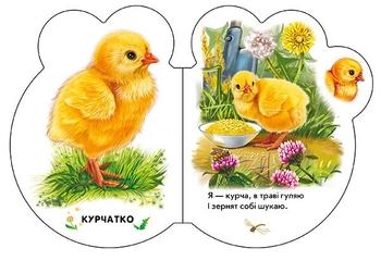 Малята. На подвір'ї - Ірина Сонечко (М411015У) - Pampik - 4