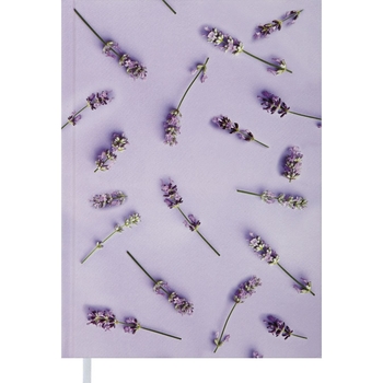 Ежедневник недатированный Buromax Provence A5 фиолетовый (BM.2066-39) - Pampik