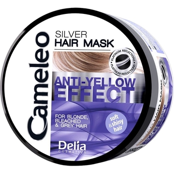 Маска для волос Delia Cosmetic Cameleo Silver Anti-Yellow Effect 200 мл - Pampik