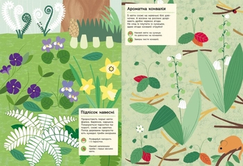 Моя книга природи Ранок У лісі - Олівія Косно (С849001У) - Pampik - 3