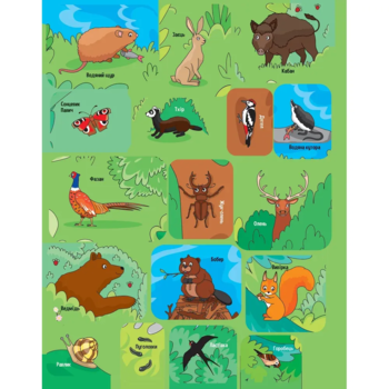 Наліпки для допитливих. Тваринки у лісі - Ольга Шевченко (1475278) - Pampik - 7