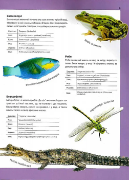 Велика книга тварин - Клаудія Мартін (1467125) - Pampik - 8