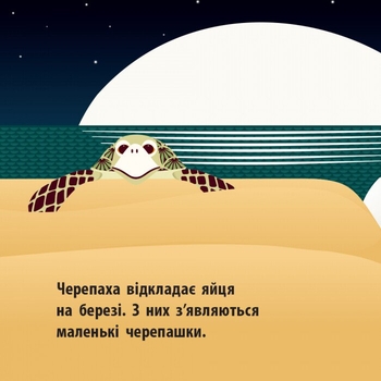 Книга Ранок Морський народ - Мадлєн Роджерс (С885008У) - Pampik - 6