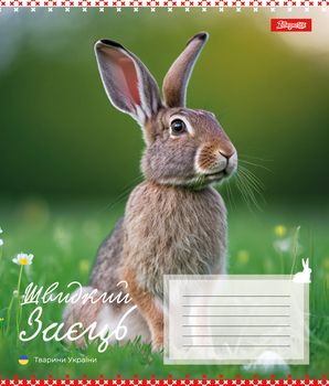 Набор тетрадей 1 Вересня Animals of Ukraine А5 в линейку 18 листов 25 шт. (767251) - Pampik - 6