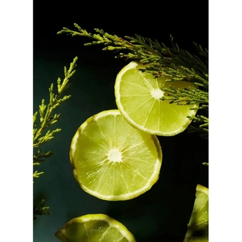 Крем-мусс для бороды Rituals Homme 30 мл - Pampik - 3