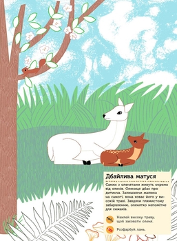 Моя книга природи Ранок Тварини лісу - Олівія Косно (С849008У) - Pampik - 3