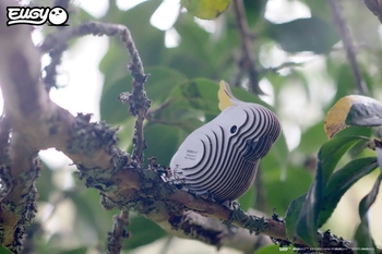 Збірна 3Д модель Eugy Зоопарк Папуга Какаду (XEG-028) - Pampik - 10