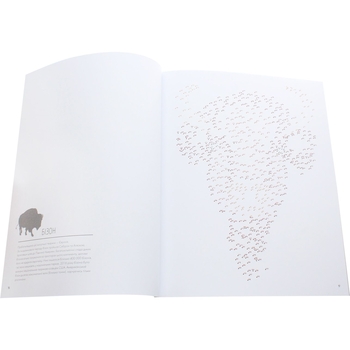 Раскраска Жорж Точкография. В мире животных (Z101050У) - Pampik - 4