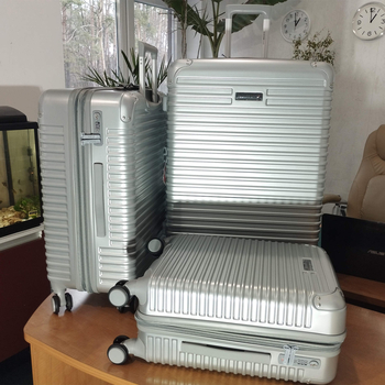 Чемодан Swissbrand Rome S Silver (SWB_LHROM002S) - Pampik - 3