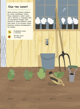 Моя книга природи Ранок На городі - Олівія Косно (С849003У) - Pampik - 3