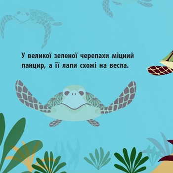 Книга Ранок Морський народ - Мадлєн Роджерс (С885008У) - Pampik - 4