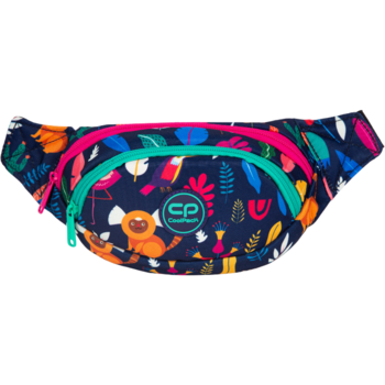 Поясная сумка CoolPack Albany Lady Color 23х14х7 см 2 отделения (F075702) - Pampik