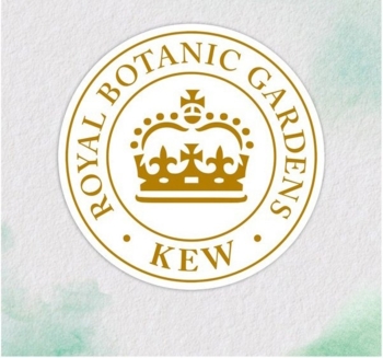 Шампунь Herbal Essences Аромат апельсину, 350 мл - Pampik - 3