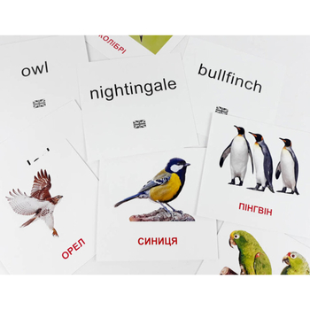 Картки міні Зірка Птахи 11х11 см (286288) - Pampik - 3