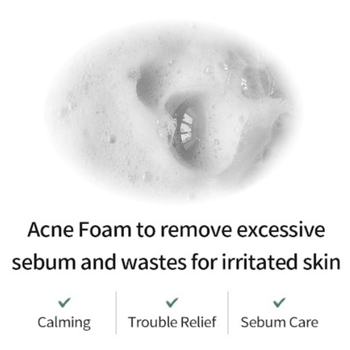 Пенка для умывания FarmStay Tea Tree Biome Low pH Calming Clean 180 мл - Pampik - 2