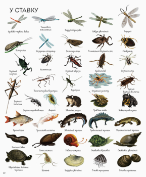 1000 назв тварин - Джесіка Грінвел, Ніккі Дайсон (Z104006У) - Pampik - 2