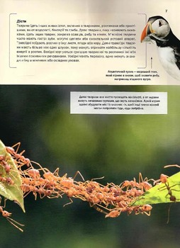 Велика книга тварин - Клаудія Мартін (1467125) - Pampik - 6