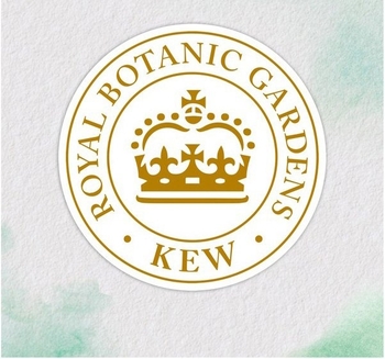 Шампунь Herbal Essences Відновлення Арганова олія, 350 мл - Pampik - 3