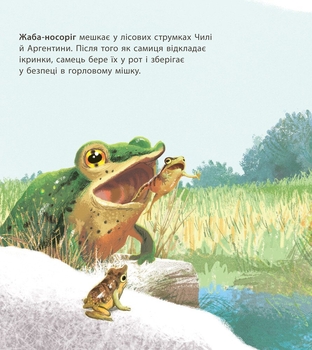 Книга Ранок Дивовижні дитинчата тварин - Кріс Пакхем (С884001У) - Pampik - 6