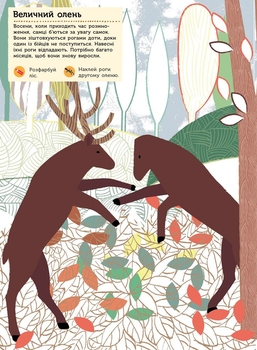 Моя книга природи Ранок Тварини лісу - Олівія Косно (С849008У) - Pampik - 2