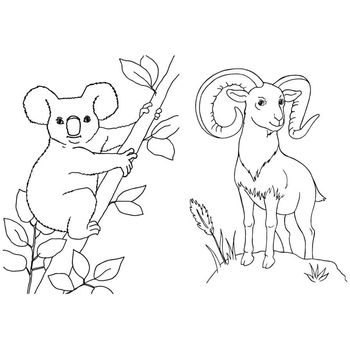 Раскраска Видавництво Ранок Большая книга раскрасок Животные (С1736002У) - Pampik - 4