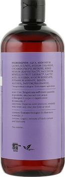 Шампунь і гель для душу 2 в 1 Bioearth Red Fruits Shampoo & Body Wash 500 мл - Pampik - 2