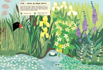 Моя книга природи Ранок Річка і ставок - Олівія Косно (С849002У) - Pampik - 3