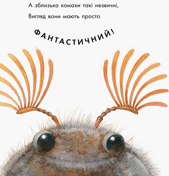 Книга Ранок Знайомі комахи - Наталія Чуб (S934002У) - Pampik - 5