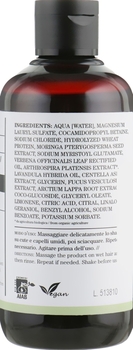 Шампунь для всех типов волос Bioearth Hair Antioxidant Shampoo 250 мл - Pampik - 2