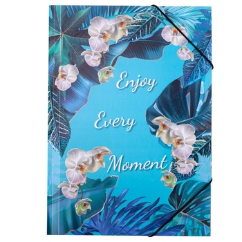 Папка на резинке Buromax Exsotic A4 голубая (BM.3958-14) - Pampik