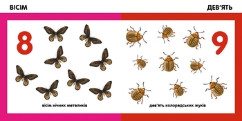 Смарт-книги Ранок Лічимо комах (С944010У) - Pampik - 4