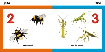 Смарт-книги Ранок Лічимо комах (С944010У) - Pampik - 2