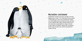 Книга Ранок Професор карапуз. Де живе пінгвін? - Чуб Наталія (S914006У) - Pampik - 3