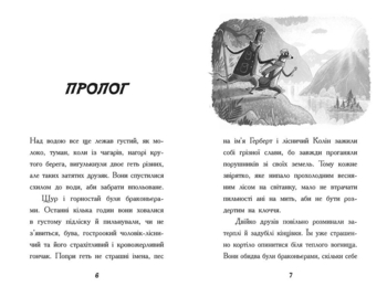 Тото. Кішка-ніндзя і легенда про дикого кота. Книга 5 - Дермот О'Лірі (Ч1522005У) - Pampik - 4