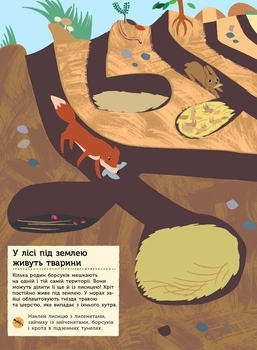 Моя книга природи Ранок Тварини лісу - Олівія Косно (С849008У) - Pampik - 4