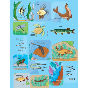 Наліпки для допитливих. Тваринки під водою - Ольга Шевченко (1475279) - Pampik - 8