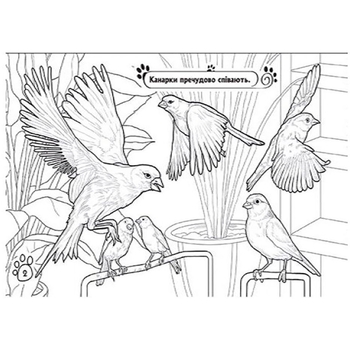 Книга розмальовка Видавництво Ранок Тварини в оселі (А583006У) - Pampik - 4