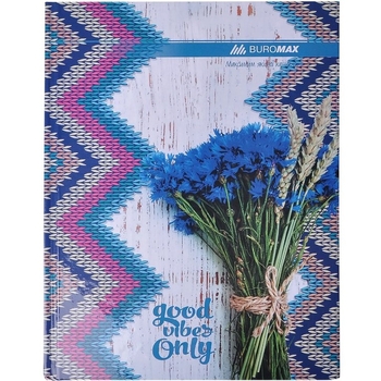 Книга учета Buromax Romantic 96 листов в клетку А4 синий (BM.2400-302) - Pampik