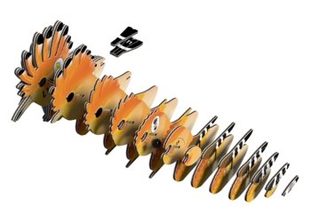 Збірна 3Д модель Eugy Зоопарк Одуд (XEG-105) - Pampik - 2