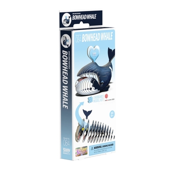 Збірна 3Д модель Eugy Зоопарк Гренландський кит (XEG-084) - Pampik - 6