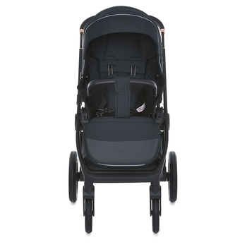 Коляска универсальная 2 в 1 El Camino ERA ME 1100 Black Night (26303) - Pampik - 2