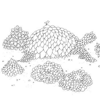 Розмальовка Жорж Дива мальовничих світів (Z101112У) - Pampik - 2