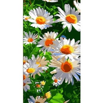Набір для розпису по номерах Strateg Білосніжні ромашки 50х25 см (WW170) - Pampik