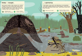 Моя книга природи Ранок Річка і ставок - Олівія Косно (С849002У) - Pampik - 2