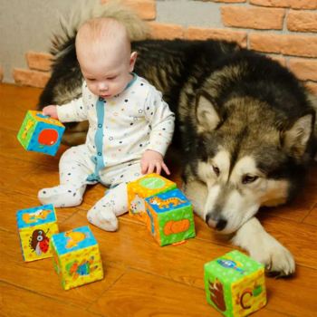 Набір м'яких кубиків Масік Мій маленький світ (МС 090601-01) - Pampik - 4