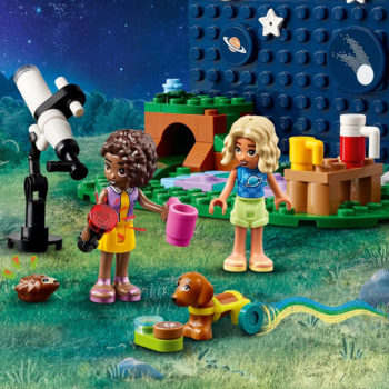 Конструктор LEGO Friends Кемпінговий автомобіль для спостереження за зірками, 364 деталі (42603) - Pampik - 8