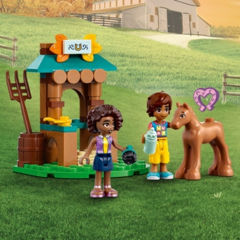Конструктор LEGO Friends Будиночок Отом, 853 деталей (41730) - Pampik - 7