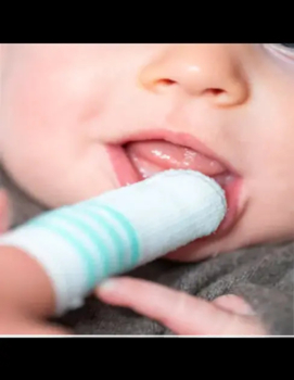 Первая детская зубная щетка-напальчник Nip - Pampik - 5