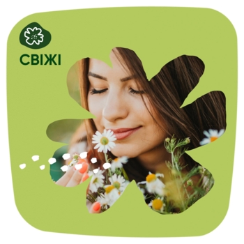 Щоденні прокладки Naturella Camomile Liners To Go Normal, 20 шт. - Pampik - 7