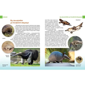 Енциклопедія для допитливих Талант Хижаки - Гапченко О. В. (9789669355874) - Pampik - 4